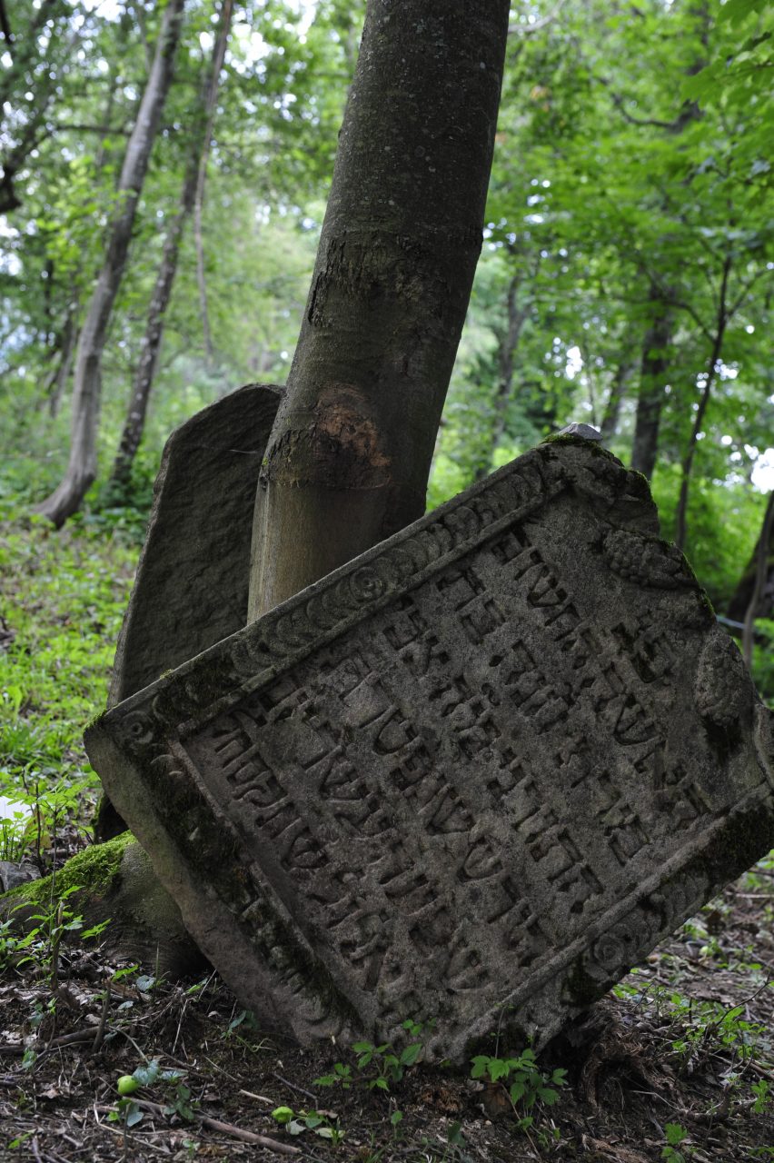 Uratowani od&nbsp;zapomnienia